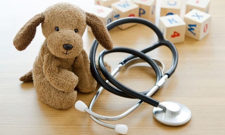 stuffed dog toy with blocks and a stethoscope